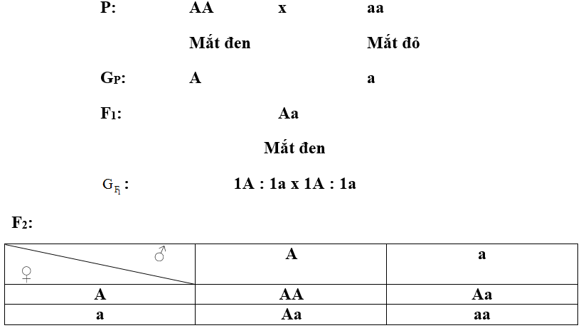 B&agrave;i 4 trang 10 sgk Sinh học 9