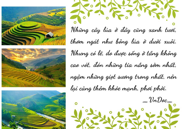 Viết đoạn văn giới thiệu tập ảnh về quê hương, đất nước hoặc nơi em đang sống