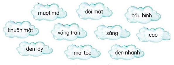 Từ chỉ đặc điểm là gì?