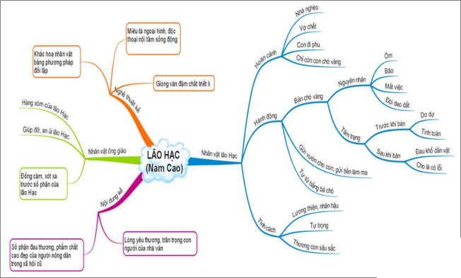 Sơ đồ tư duy truyện Lão Hạc