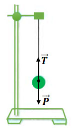 C&aacute;c lực n&agrave;y do những vật n&agrave;o g&acirc;y ra?