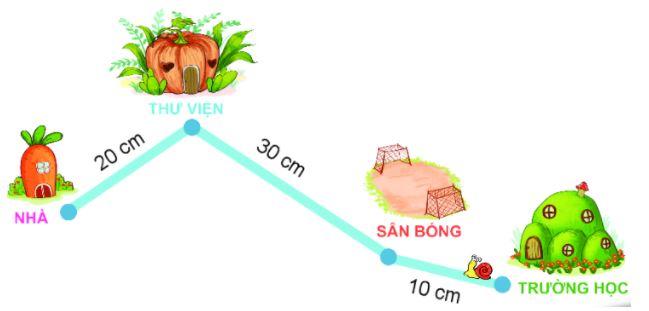 Bài 5 (trang 111 SGK Toán 2 tập 1)