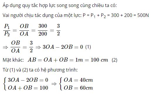 Hỏi vai người đ&oacute; phải đặt ở điểm n&agrave;o, chịu một lực bằng bao nhi&ecirc;u?