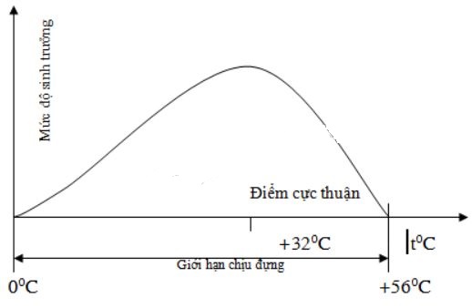 C&acirc;u 4 trang 121 sgk Sinh học 9