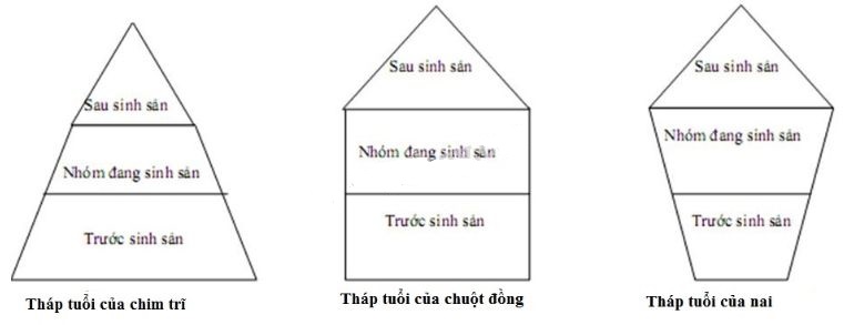 C&acirc;u 2 trang 142 SGK Sinh học 9