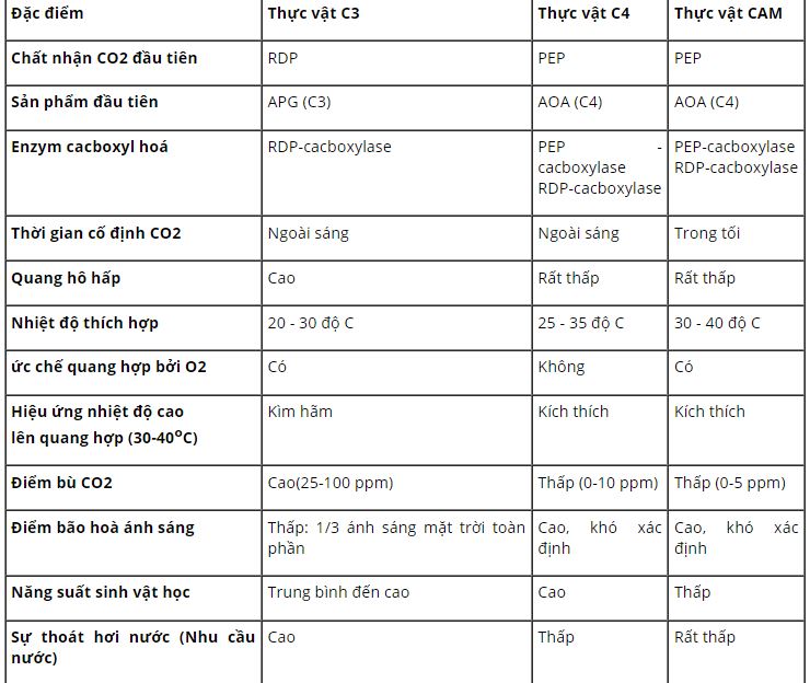 Ph&acirc;n t&iacute;ch sự giống nhau v&agrave; kh&aacute;c nhau giữa c&aacute;c chu tr&igrave;nh cố định CO2 của ba nh&oacute;m thực vật