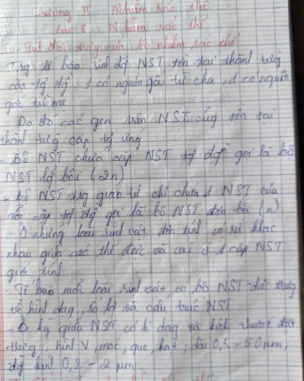 Bộ NST của mỗi lo&agrave;i đặc trưng bởi những yếu tố n&agrave;o? Cấu tr&uacute;c của 1 NST điển h&igrave;nh?