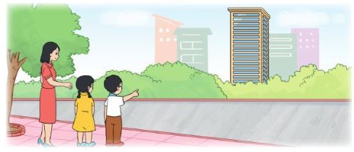 Bài 6 trang 51 Toán lớp 2 tập 1 Cánh Diều