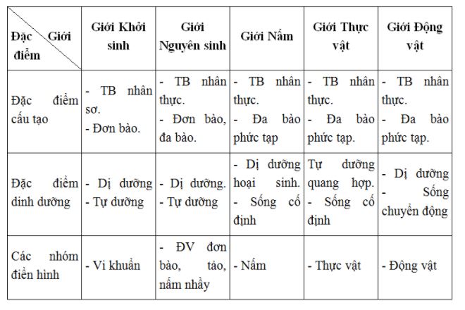 Những đặc điểm sai kh&aacute;c v&agrave; mối quan hệ 5 giới sinh vật