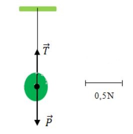 B&agrave;i C1 trang 17 SGK Vật L&yacute; 8