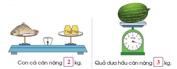 Bài 1 trang 76 SGK Toán lớp 2 Tập 1 Cánh Diều