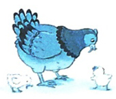 Bài 12: Danh sách học sinh