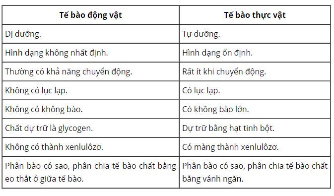 Liệt k&ecirc; c&aacute;c cấu tr&uacute;c cơ bản của tế b&agrave;o động vật, tế b&agrave;o thực vật