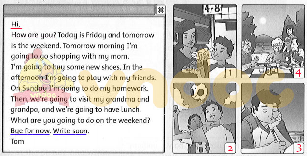 Family and friends 5 workbook Unit 2 lesson 6