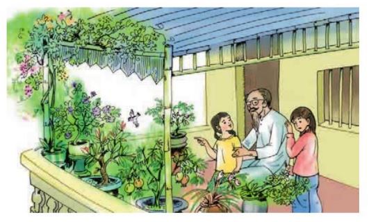 Chuyện một khu vườn nhỏ