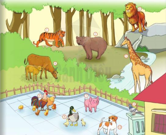 Giáo án điện tử sách Cánh Diều lớp 2 môn Tiếng Việt tuần 19