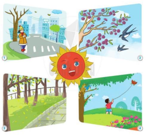 Giáo án môn Tiếng Việt lớp 2 Sách Cánh Diều - Tuần 28