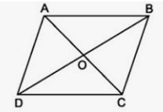 Giải Toán lớp 6 bài 33 KNTT