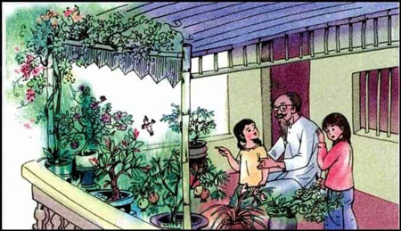 Giải Tiếng Việt lớp 5 VNEN Bài 11A: Chim lành đất đậu