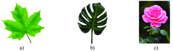 Toán lớp 6 bài 3 Chương 7 Chân trời sáng tạo