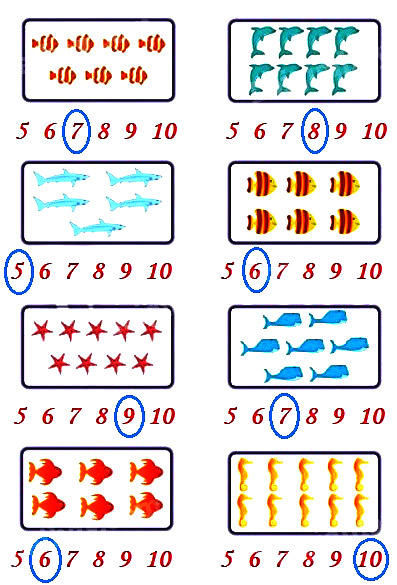 Đáp án Đề thi học kì 1 lớp 1 môn Toán