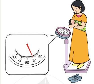 Bài 3 trang 81 SGK Toán lớp 2 Tập 1 Cánh Diều