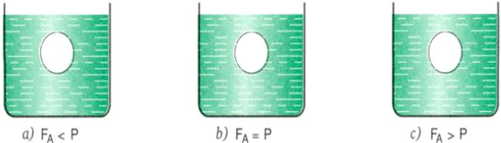 Bài C2 trang 43 SGK Vật Lý 8