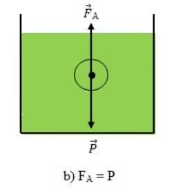 B&agrave;i C2 trang 43 SGK Vật L&yacute; 8
