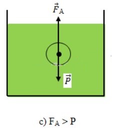 B&agrave;i C2 trang 43 SGK Vật L&yacute; 8