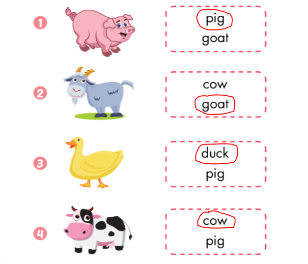 Giải i-Learn Smart Start 2 Unit 4 Lesson 1 SBT