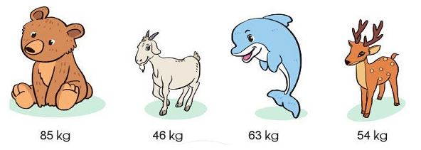 Bài 6 trang 102 SGK Toán lớp 2 tập 1 Cánh Diều