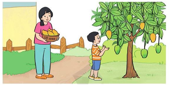 Bài 5 trang 97 SGK Toán lớp 2 tập 1 Cánh Diều