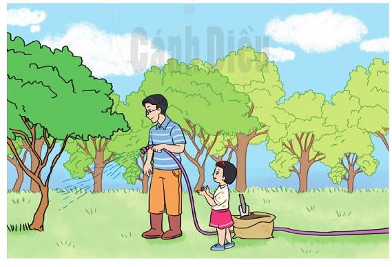 Bài 5 trang 97 SGK Toán lớp 2 tập 1 Cánh Diều