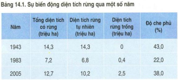 Nhận xét về biến đông diện tích rừng