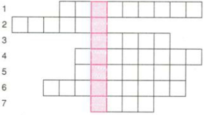 Trò chơi ô chữ bài 16 vật lý 7