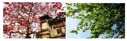 Đề thi cuối kì 1 lớp 1 môn Tiếng Việt