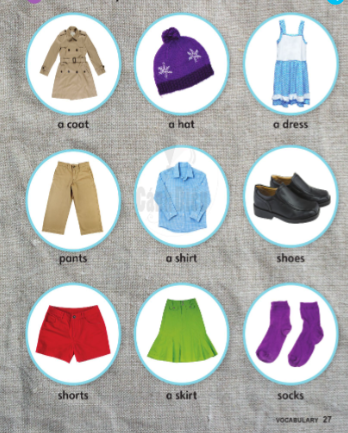 Sách tiếng Anh lớp 2 Cánh Diều Unit 3 Lesson Vocabulary