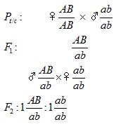Giải th&iacute;ch kết quả của c&aacute;c ph&eacute;p lai v&agrave; viết sơ đồ lai từ P tới F2