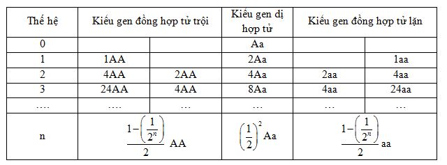 X&aacute;c định th&agrave;nh phần kiểu gen của quần thể