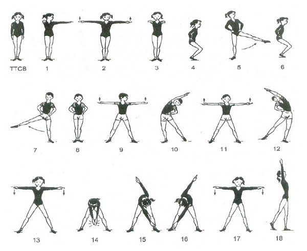 35 động t&aacute;c thể dục?