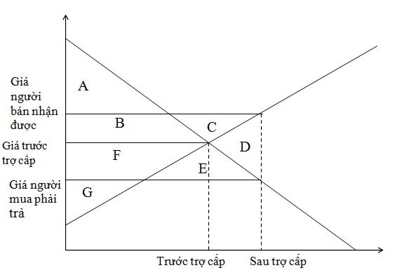 lý thuyết kinh tế công cộng