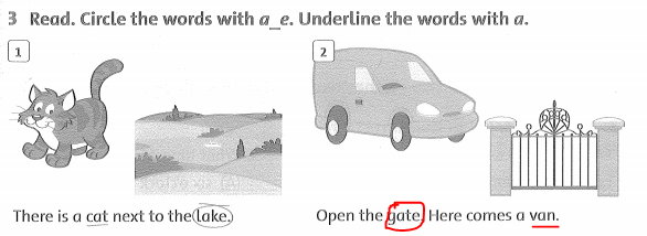 Family and Friends 3 Workbook Unit 7 Lesson 4