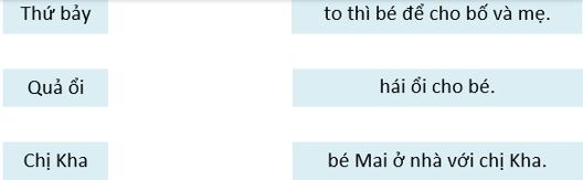 Bài tập nghỉ Tết Tiếng Việt 1 sách Chân trời