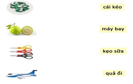 Bài tập nghỉ Tết Tiếng Việt 1 sách Chân trời