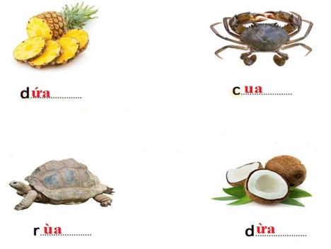 Bài tập nghỉ Tết Tiếng Việt 1 sách Chân trời