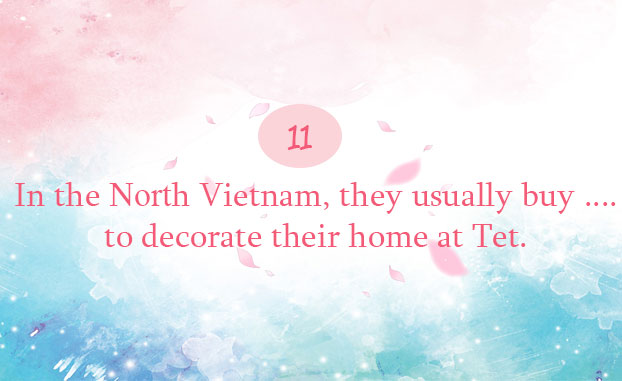 Trắc nghiệm tiếng Anh về Tết cổ truyền Việt Nam