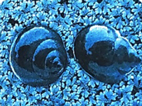 Bài 2: Con suối bản tôi