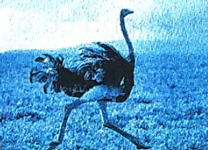 Bài 2: Con suối bản tôi