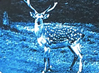 Bài 2: Con suối bản tôi