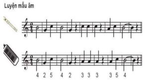 Giáo án môn Âm nhạc lớp 6 sách Kết nối tri thức với cuộc sống - Tiết 33